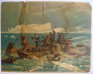 Walrus Morse Hunting Original German Chromolithograph Print