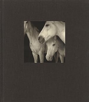 Seller image for 21st Editions Journal of Contemporary Photography Volume 1 (One/I) [SIGNED & INSCRIBED] for sale by Vincent Borrelli, Bookseller