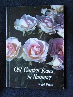 Old Garden Roses in Summer