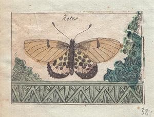 Zetes, kleinformatiger, altkolorierter Kupferstich um 1790, Blattgröße: 7,5 x 10,5 cm, reine Bild...
