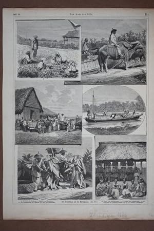 Der Tabaksbau auf den Philippinen, Blatt mit mehreren Holzstichen um 1875, Blattgröße: 37,3 x 27,...