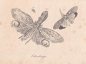 Laterntraeger, Kupferstich um 1830, Blattgröße: 16 x 21,5 cm, reine Bildgröße: 12,5 x 17 cm.