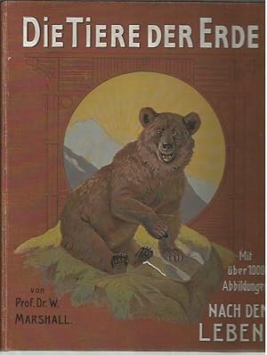 Seller image for Die Tiere der Erde : eine volkstu mliche Uebersicht u ber die Naturgeschichte der Tiere (3 Volumes) for sale by Bookfeathers, LLC