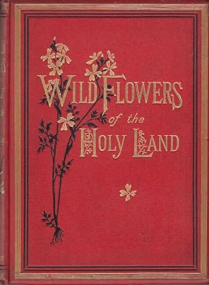 Wild flowers of the Holy Land / fifty-four plates printed in colours, drawn and painted after nature
