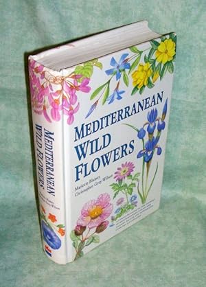 Mediterranean wild flowers.