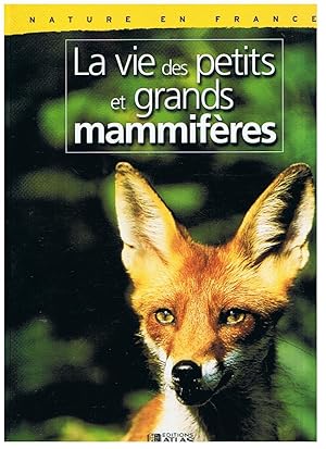 Nature en France - La vie des petits et grands mammifère