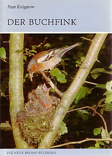 Der Buchfink. Fringilla coelebs.