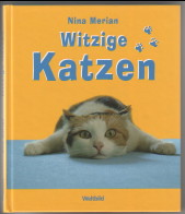 Witzige Katzen. Stubentiger außer Rand und Band