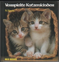 Seller image for Verspielte Katzenkinder. for sale by Antiquariat ExLibris Erlach Eberhard Ott