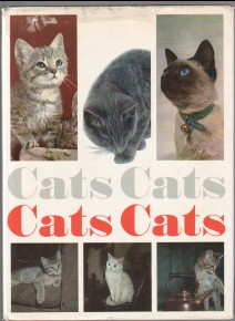 Imagen del vendedor de Cats Cats Cats Cats. a la venta por Antiquariat ExLibris Erlach Eberhard Ott