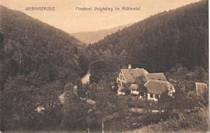 Seller image for Frsterei Voigtstieg im Mhlental. Ansichtskarte in brunlichem Lichtdruck. Abgestempelt Bahnpost Nordhausen-Wernigerode 07.04.1913 Zug 6. for sale by Antiquariat Heinz Tessin