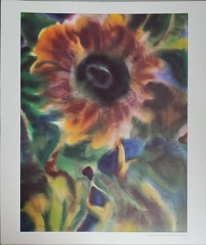 Bild des Verkufers fr Sonnenblume. (Druckgrafik) zum Verkauf von St. Jrgen Antiquariat