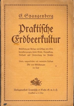 Bild des Verkufers fr Praktische Erdbeerkultur. Anleitung zur Anlage und Pflege von Erdbeerpflanzungen, sowie Ernte, Verpackung, Versand und Verwertung der Frchte. zum Verkauf von St. Jrgen Antiquariat