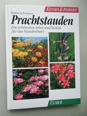 Prachtstauden schönsten Arten und Sorten für das Staudenbeet 1993 Stauden