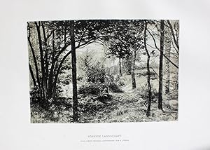 Image du vendeur pour Sonnige Landschaft" originale Heliogravure ber Tonplatte ca.17x25cm (Darstellung/Image size) nach einer Lithographie von Lhrig auf Btten-Karton (ca.28x38cm) mis en vente par Kunsthandel & Antiquariat Magister Ru