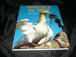 Oiseaux De Mer