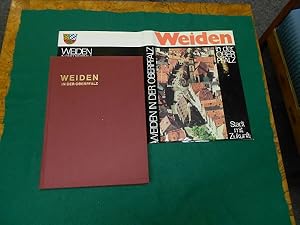 Weiden in der Oberpfalz. Max-Reger-Stadt. Von den Anfängen bis heute.