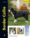 Border Collie (Excellence)