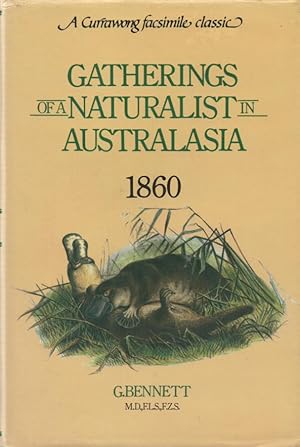 Seller image for Gatherings of a Naturalist in Australasia, 1860 A Currawong facsimile classic for sale by lamdha books