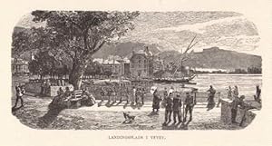 Bild des Verkufers fr Landingsplatz i Vevey (Landungsplatz). Holzstich mit Tonplatte aus : Kaden - Das Schweizerland. zum Verkauf von Antiquariat Heinz Tessin