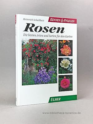 Bild des Verkufers fr Rosen. Die besten Arten und Sorten fr den Garten. zum Verkauf von Bibliotheca Botanica