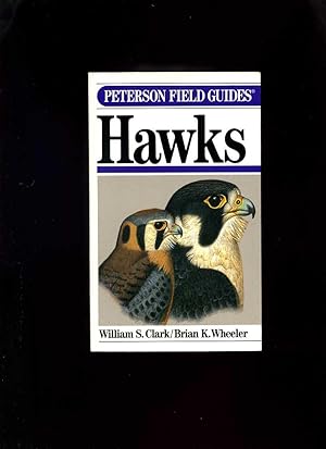 A Field Guide to Hawks North America