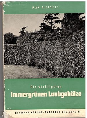 Seller image for Die wichtigsten immergrnen Laubgehlze. Ein Nachschlagewerk fr Fachmann und Liebhaber for sale by Bcherpanorama Zwickau- Planitz