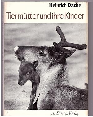 Seller image for Tiermtter und ihre Kinder for sale by Bcherpanorama Zwickau- Planitz
