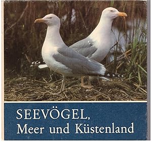 Seller image for Seevgel, Meer Und Kstenland for sale by Bcherpanorama Zwickau- Planitz