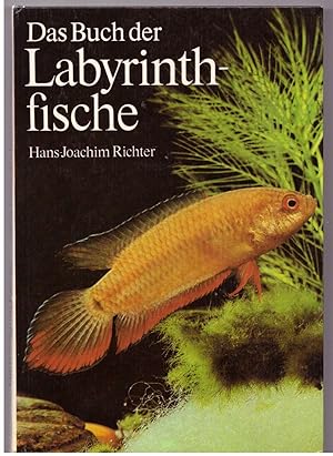 Bild des Verkufers fr Das Buch der Labyrinthfische zum Verkauf von Bcherpanorama Zwickau- Planitz