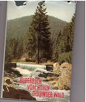 Bild des Verkufers fr Bilderbuch vom hohen Thringer Wald zum Verkauf von Bcherpanorama Zwickau- Planitz