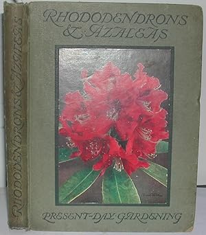 Seller image for Rhododendrons & Azaleas for sale by Weatherby Books