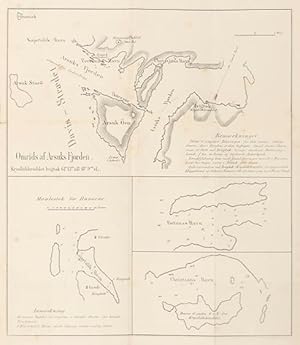 Et Aar i Grønland. [A Year in Greenland.]