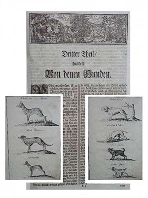 Bild des Verkufers fr Von den Hunden" - Aus: "Der vollkommene teutsche Jger. Darinnen Die Erde Gebrge, Kruter und Bume, Wlder, Eigenschaft der wilden Thiere und Vogel, So wohl Historice, als Physice, und Anatomice: Dann auch die behrigen Gro- und kleinen Hunde (.) zum Verkauf von Eugen Kpper