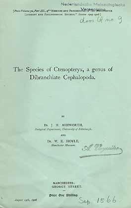 Bild des Verkufers fr The Species of Ctenopteryx, a genus of Dibranchiate Cephalopoda zum Verkauf von ConchBooks