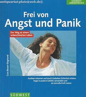 Frei von Angst und Panik. Auslöser erkennen und durch Gedanken Sicherheit erleben. Angst in posit...