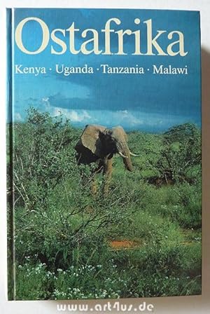 Ostafrika : Kenya, Uganda, Tanzania, Malawi.