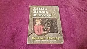 LITTLE BLACK, A PONY