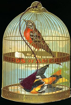 Imagen del vendedor de 1888 Allen and Ginter 'Birds of America' Album a la venta por Little Stour Books PBFA Member