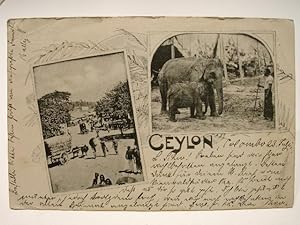 Postkarte "Ceylon"