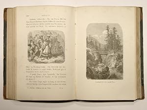 Rejse i Pyrenaeerne. Med omtrent 350 illustrationer af Gustave Dore. Oversat af Dr. phil. S. Scha...