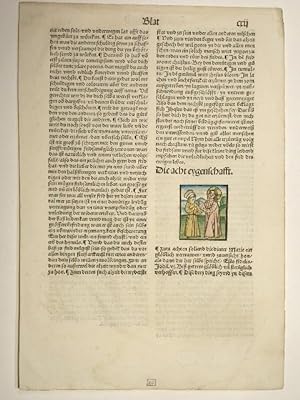 Der beschlossen gart des rosenkrantz marie. Blatt CXII.