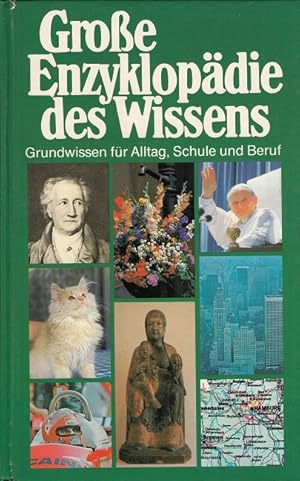 Seller image for Groe Enzyklopdie des Wissens - Grundwissen fr Alltag, Schule und Beruf. Das groe Handbuch der Allgemeinbildung for sale by Versandantiquariat Nussbaum