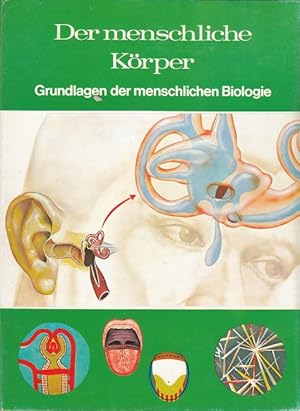 Seller image for Der menschliche Krper - Grundlagen der menschlichen Biologie (Welt der Wissenschaft) for sale by Versandantiquariat Nussbaum