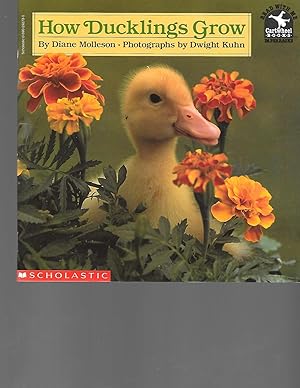 Bild des Verkufers fr How Ducklings Grow (Read With Me) zum Verkauf von TuosistBook