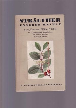 Sträucher unserer Heimat - Laub, Knospen, Blüten, Früchte