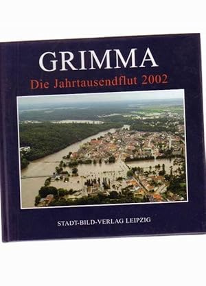 Grimma - Die Jahrtausendflut 2002