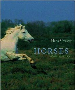 Seller image for Horses of the Camargue for sale by Monroe Street Books