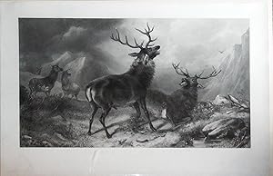 Seller image for Victor of the Glen. for sale by Arader Galleries - AraderNYC