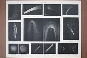 Der Hallesche Komet, Druckgraphik nach 1882 mit Darstellungen des Kometen in unterschiedlichen Ja...